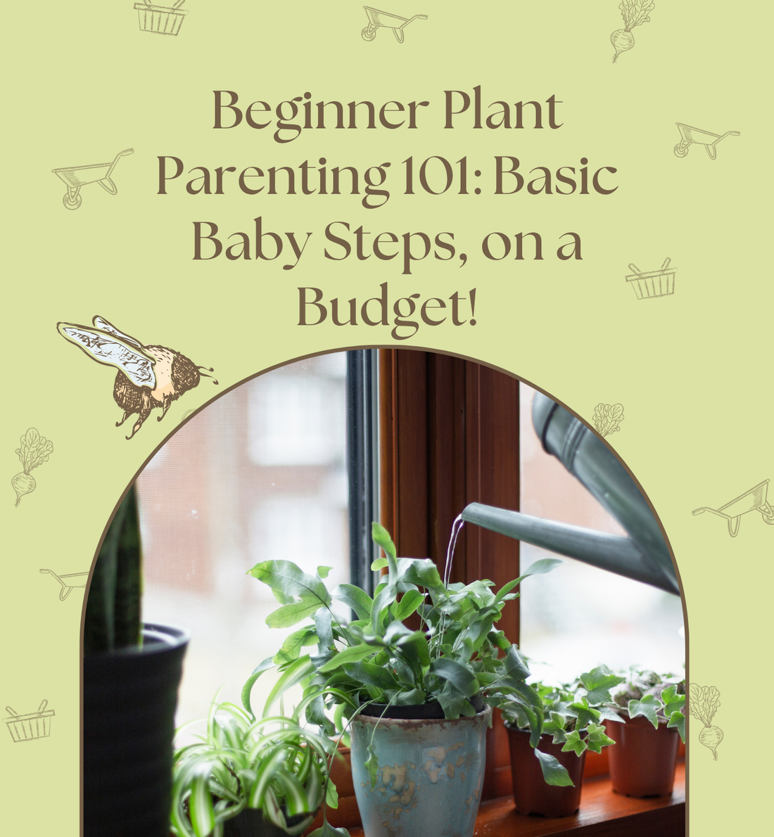 Beginner Plant Parenting 101: Basic Baby Steps, on a Budget!
