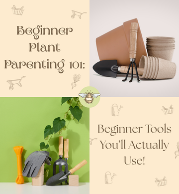 Beginner Plant Parenting 101: Beginner Tools You'll Actually Use!